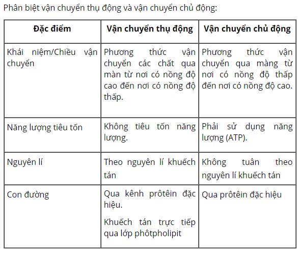 Phân biệt vận chuyển thụ động với vận chuyển chủ động