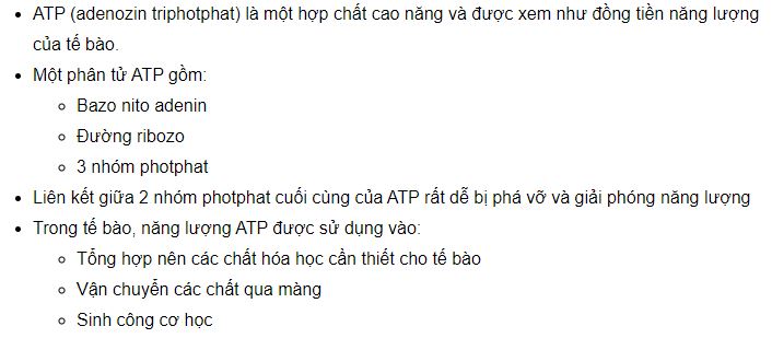 Trình bày cấu trúc hóa học và chức năng của phân tử ATP