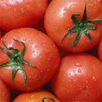 Cách bảo quản cà chua để sử dụng quanh năm