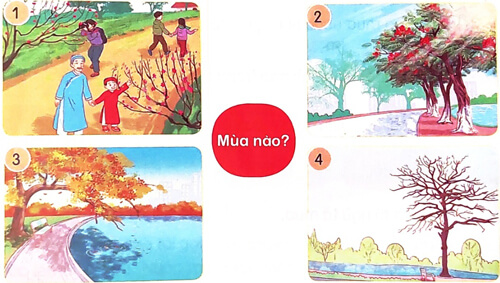 Mùa nước nổi - Luyện tập