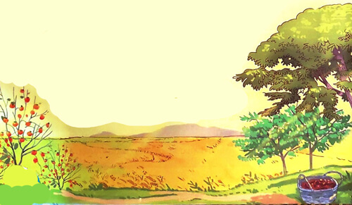 Mùa vàng - Phần đọc