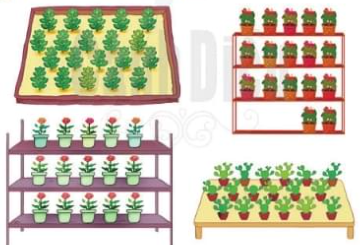 Giải Toán lớp 1 Bài 41 sách Cánh Diều