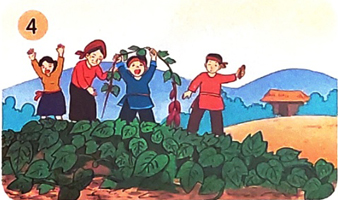 Hạt thóc - Nói và nghe