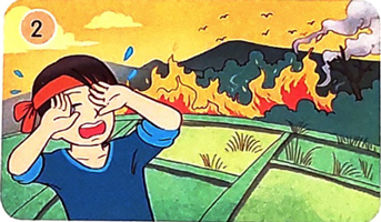 Hạt thóc - Nói và nghe