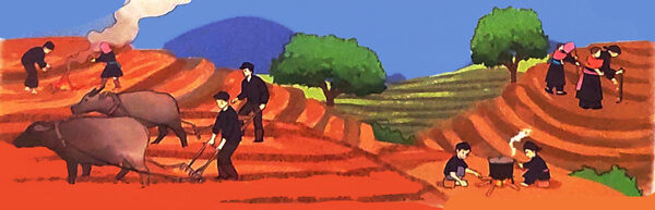 Lũy tre - Luyện tập