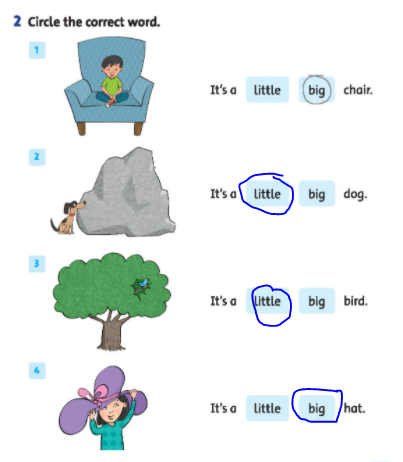 Giải Tiếng Anh lớp 2 Unit Starter: Hello! - Lesson 6 SBT