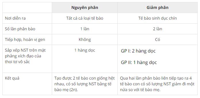 So sánh nguyên phân và giảm phân