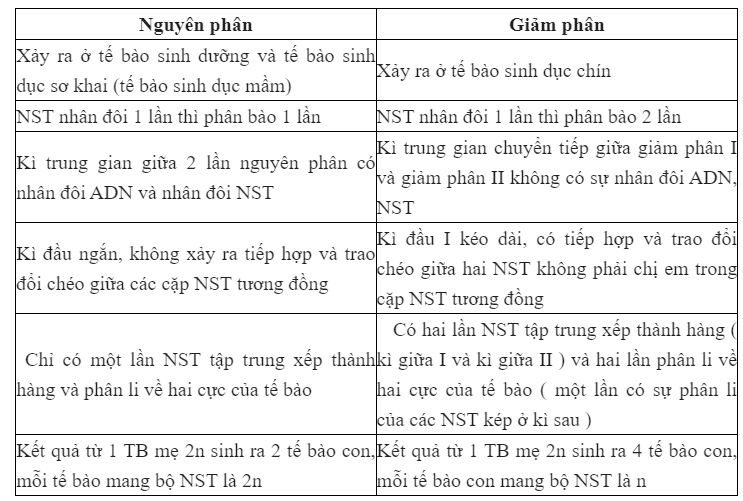 So sánh nguyên phân và giảm phân