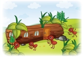 Bài 10 trang 49 Toán lớp 2 tập 1 SGK Chân trời sáng tạo