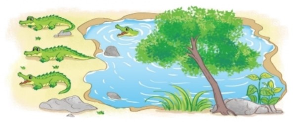 Bài 3 trang 39 Toán lớp 2 tập 1 SGK Kết nối tri thức với cuộc sống