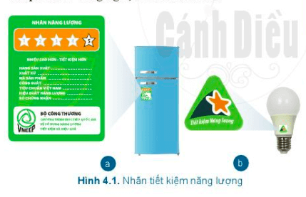 Công nghệ 6 bài 4 Cánh Diều