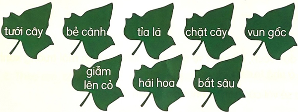 Cỏ non cười rồi - Luyện tập