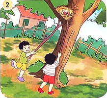 Những con sao biển - Nói và nghe