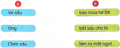 Tạm biệt cánh cam - Luyện tập