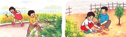 Tạm biệt cánh cam - Luyện tập