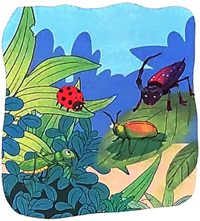 Ôn tập giữa học kì 2 - Tiết 3, 4