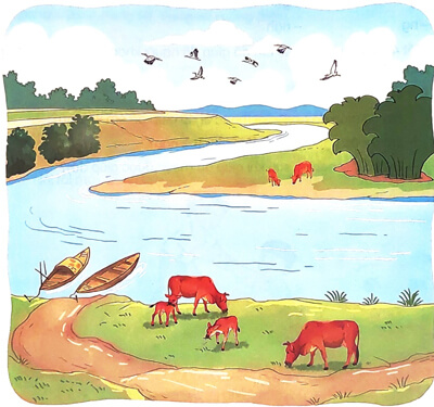 Ôn tập giữa học kì 2 - Tiết 3, 4