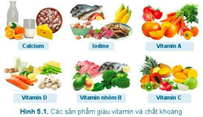 Công nghệ 6 Cánh Diều