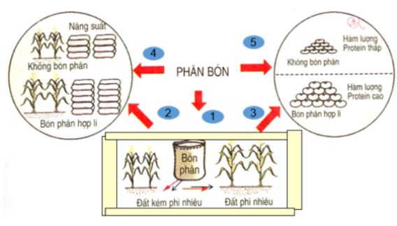 Công nghệ 7 bài 7