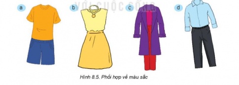 Công nghệ 6 bài 8 Kết nối tri thức