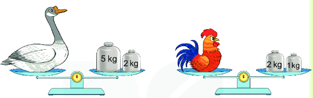 Bài 2 trang 61 Toán lớp 2