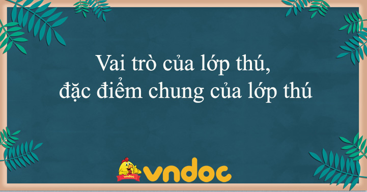 Top 20 vai trò của lớp thú hot nhất - Kiến Thức Cho Người lao Động Việt Nam