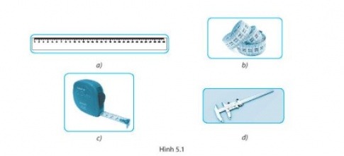 Giải SBT KHTN6 Kết nối tri thức bài 5