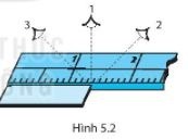 Giải SBT KHTN6 Kết nối tri thức bài 5