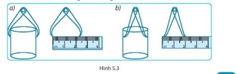 Giải SBT KHTN6 Kết nối tri thức bài 5