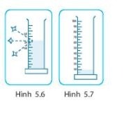 Giải SBT KHTN6 Kết nối tri thức bài 5