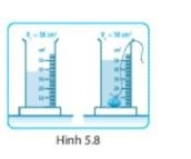 Giải SBT KHTN6 Kết nối tri thức bài 5