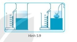Giải SBT KHTN6 Kết nối tri thức bài 5