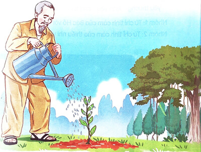 Bài 24: Chiếc rễ đa tròn - Luyện tập