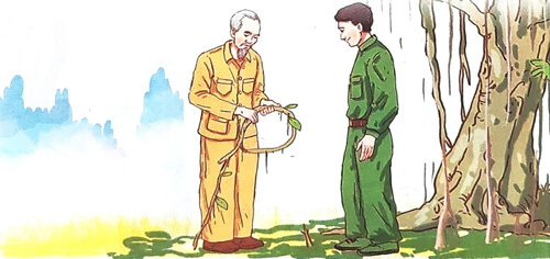 Chiếc rễ đa tròn - Phần đọc