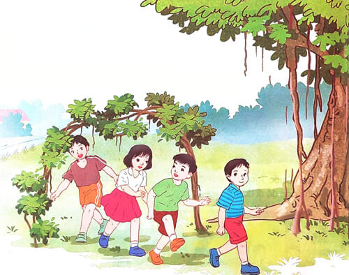 Chiếc rễ đa tròn - Phần đọc