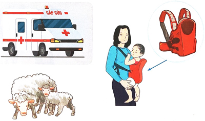 Chiếc rễ đa tròn - Phần viết