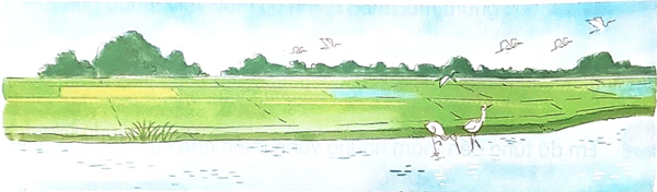 Trên các miền đất nước - Phần đọc