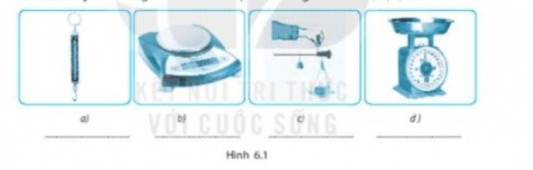 Giải KHTN 6 Kết nối tri thức bài 6