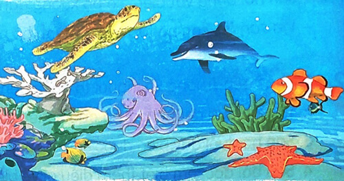 Khám phá đáy biển ở Trường Sa - Luyện tập