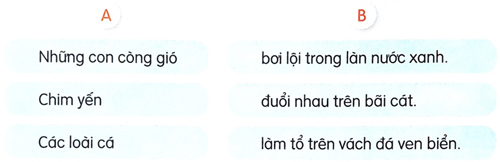 Khám phá đáy biển ở Trường Sa - Luyện tập