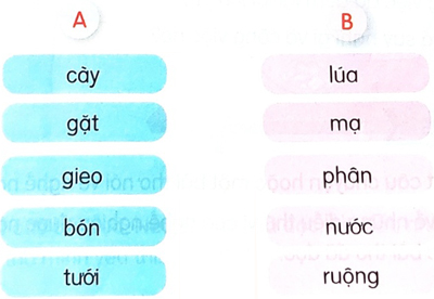 Cánh đồng quê em - Luyện tập