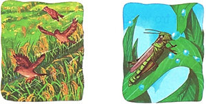 Cánh đồng quê em - Phần đọc