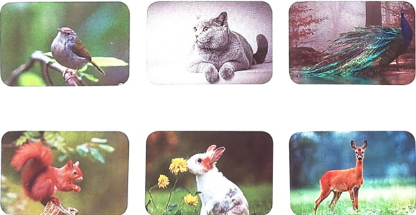 Ôn tập và đánh giá cuối học kì 2 - Tiết 5, 6