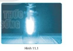 Giải SBT KHTN 6 Kết nối tri thức