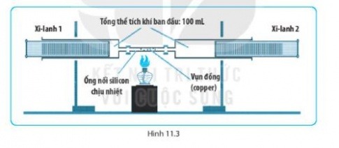 Giải SBT KHTN 6 Kết nối tri thức bài 11