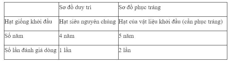 Quy trình sản xuất giống theo sơ đồ duy trì và phục tráng có gì giống và khác nhau