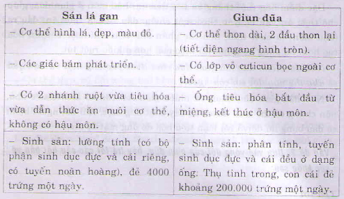 Sinh học 7 bài 13