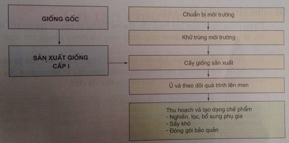 Thế nào là chế phẩm vi khuẩn trừ sâu?