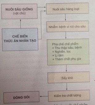 Thế nào là chế phẩm virut trừ sâu?