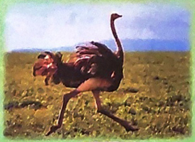 Bài 2: Con suối bản tôi